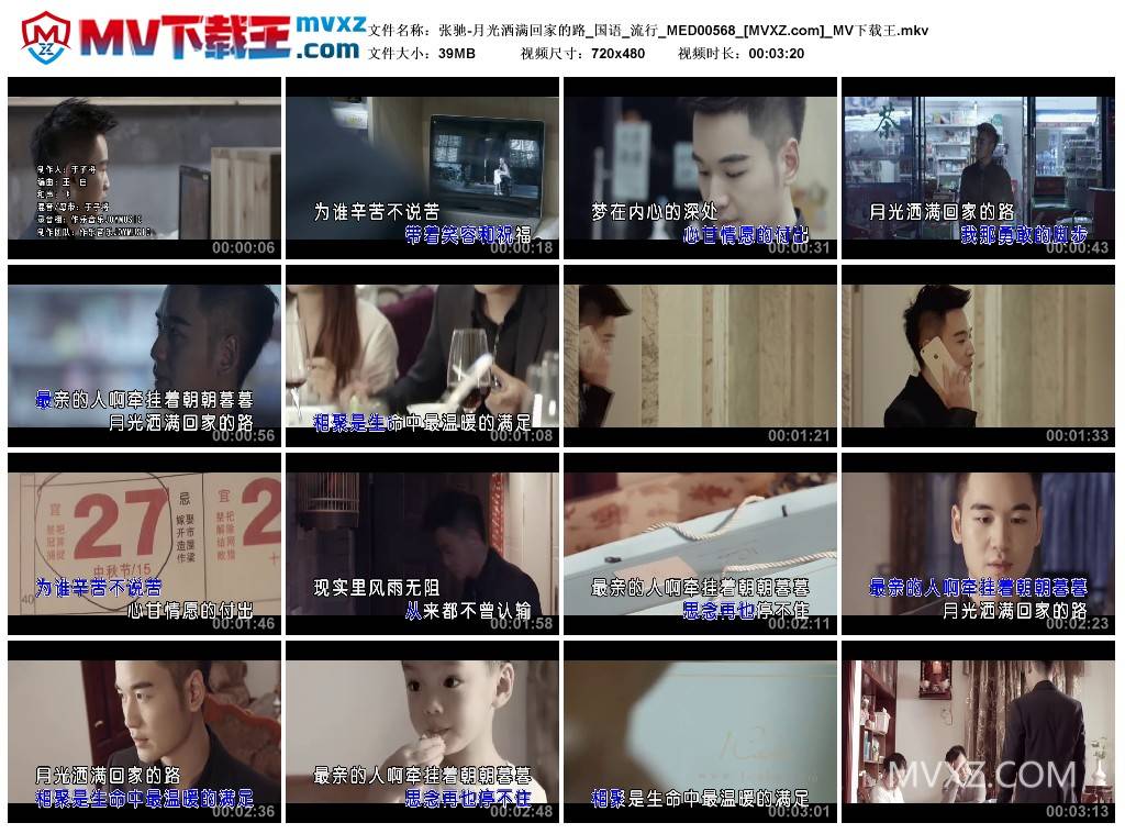 张驰-月光洒满回家的路_国语_流行_MED00568